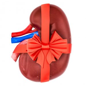 Kidney Transplant Surgeon in Noida